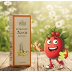 Grešík Natura Zázvor 50 ml – Hledejceny.cz