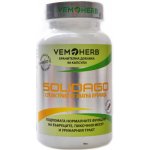 VemoHerb Solidago 90 kapslí Zlatobýl obecný – Hledejceny.cz