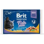 Brit Premium Cat Delicate Fillets in Gravy Cod fish Salmon and Trout 4 x 100 g – Zbozi.Blesk.cz