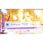 Holy Smokes Ambrosia vonné tyčinky 10 g – Hledejceny.cz