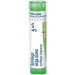 SOLIDAGO VIRGA AUREA POR 5CH GRA 4G – Hledejceny.cz
