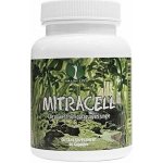 For long life MITRACELL 80 minerálů z Paraquaye pro energii a imunitu 60 kapslí 30 dní – Hledejceny.cz