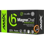 Amix Magnechel Magnesium chelate 90 kapslí – Hledejceny.cz