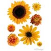 AG Design F0408 Samolepicí dekorace SUN FLOWER BIG rozměry 65 x 85 cm