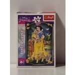 TREFL Displej Disney princezny 54 dílků 40 dílků – Hledejceny.cz