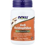 Now Foods Probiotikum 4x6 Acidophilus 60 kapslí – Hledejceny.cz