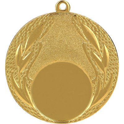 Univerzální kovová medaile Zlatá Stříbrná Bronzová Zlatá 5 cm 2,5 cm – Hledejceny.cz