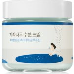 Round Lab Birch Juice Moisturizing Cream s březovou šťávou 80 ml – Zbozi.Blesk.cz