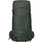 Osprey Kestrel 38 l bonsai green – Hledejceny.cz