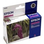 Epson C13T048340 - originální – Hledejceny.cz