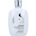 Alfaparf Milano Semi di Lino Diamond Illuminating Shampoo 250 ml – Zboží Dáma