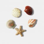 Odznáček Jibbitz – She Sells Seashells 5 ks – Hledejceny.cz