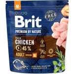 Brit Premium by Nature Adult M 1 kg – Zboží Mobilmania