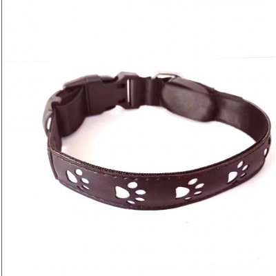 Reedog dobíjecí svítící obojek TLAPKY – Zboží Dáma