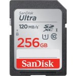 SanDisk SDXC Class 10 256 GB SDSDUNC-256G-GN6IN – Zboží Mobilmania