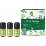 Primavera Aroma lékárnička Energie z lesa esenciální olej 3 x 5 ml – Zboží Dáma