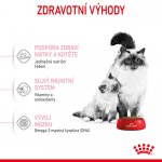 Royal Canin Mother & BabyCat 2 kg – Sleviste.cz