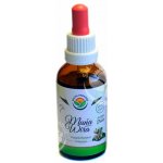 Salvia Paradise Wira Wira AF tinktura 50 ml – Hledejceny.cz