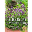 Kniha Léčivé byliny v květináči a na zahradě - Heide Bergmann