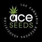Ace Seeds Guawi semena neobsahují THC 5 ks – Hledejceny.cz