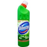 Domestos 24h Pine Fresh 750 + tekutý desinfekční a čisticí prostředek 250 ml – Sleviste.cz