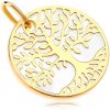 Přívěsky Šperky Eshop Přívěsek ve žlutém zlatě 585 bílý perleťový kruh se stromem života S1GG18.39