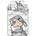 Jerry Fabrics povlečení Dupík 100 x 135 cm 40 x 60 cm – Zboží Dáma