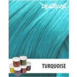 La Riché Directions 13 Turquoise 89 ml – Zbozi.Blesk.cz