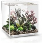 BiOrb Cube akvárium LED bílé 60 l – Zboží Dáma