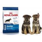 Royal Canin Maxi Junior 1 kg – Zboží Mobilmania