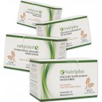 Nutriplus Vláknina 300 g – Hledejceny.cz