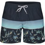 Quiksilver pán.koup.šortky Hide palm VL 15 YM modré – Zbozi.Blesk.cz