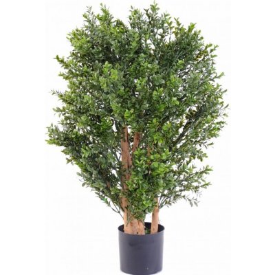 BUXUS NEW UV KEŘ, 70cm