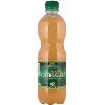 Stevikom Kombucha zelený čaj 0,5 l – Zboží Dáma