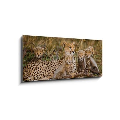 Obraz 1D - 120 x 50 cm - Mother cheetah and her cubs in the savannah. Kenya. Tanzania. Africa. National Park. Serengeti. Maasai Mara. An excellent illustration. Matka ge