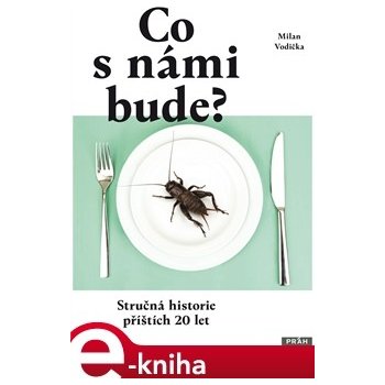 Co s námi bude?. Stručná historie příštích 20 let - Milan Vodička