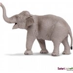 Safari Ltd. Slon indický – Zboží Dáma