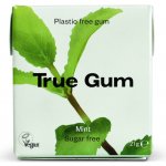 True gum máta 24x21g – Zboží Dáma