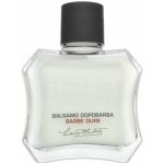 Proraso Coarse Beards voda po holení 100 ml – Zboží Dáma