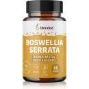 Boswellia Serrata 60 kapslí