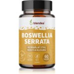 Boswellia Serrata 60 kapslí – Zbozi.Blesk.cz