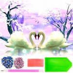 Norimpex Diamantový obrázek malování Labutí láska 30 x 40 cm – Zboží Mobilmania