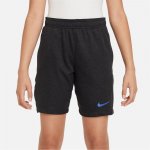 Nike Academy Shorts Black/Royal – Zboží Mobilmania