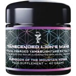 Primal Alchemy Transcended Lion’s Mane 40 g – Hledejceny.cz