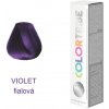 Barva na vlasy BBcos Color Tribe barva na vlasy Violet 100 ml