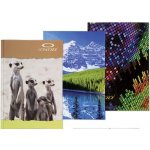 Concorde Záznamní kniha A5 čistá 100 listů – Sleviste.cz