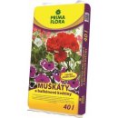 Agro CS Primaflora Substrát pro muškáty (pelargonie) 40 l