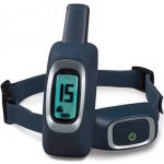 PetSafe elektronický obojek Lite 300m – Hledejceny.cz