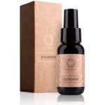 Essens Eucassens 50 ml – Hledejceny.cz