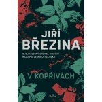 V kopřivách – Hledejceny.cz